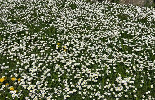 Heidi Away - Foto 14