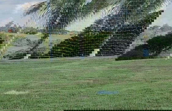 Sítio Refúgio do Alto - Photo 43