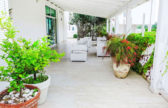 Stella Marina - Foto 13