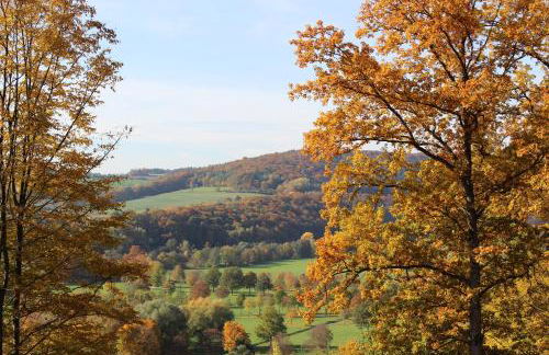 Pension Höchemer - Foto 64