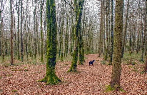 Inglenook Cottage - Foto 20