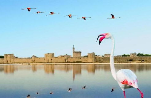 Amazing Home In Noves - Foto 21