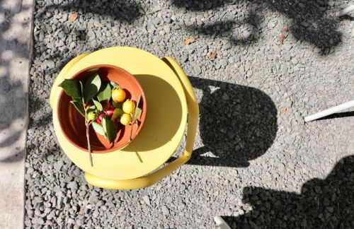 Araça Studio - Atlantic Mountain Living - Foto 8