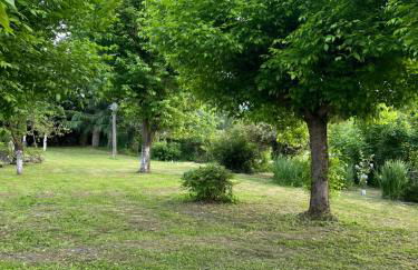 Villa Gabri - Foto 37