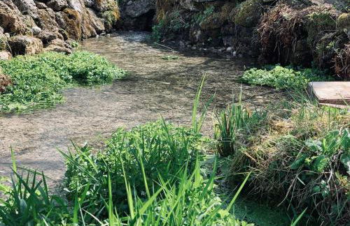 Schlossquelle Königsdorf - Foto 24