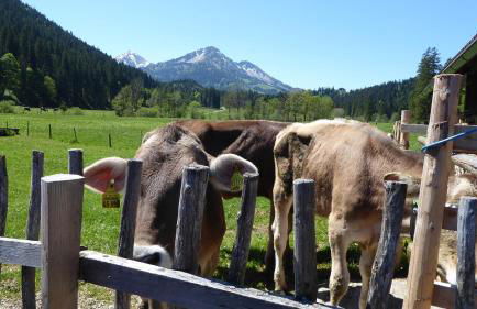 FW Weissensee - Foto 33
