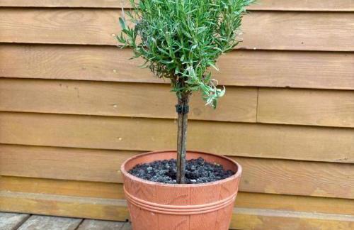 Domek nad Paklicą - Foto 27