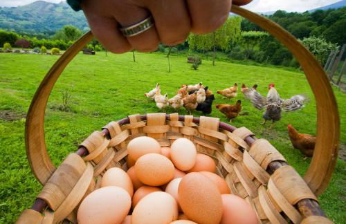 Casa Rural Zigako Etxezuria - Foto 37