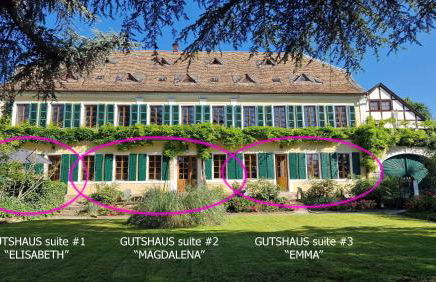 Unterkunft im Weingut Fitz-Ritter - Foto 2