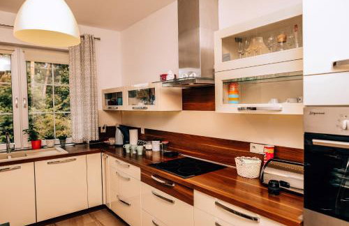 Pluski Dom "Ryś" nad J. Pluszne - Foto 15