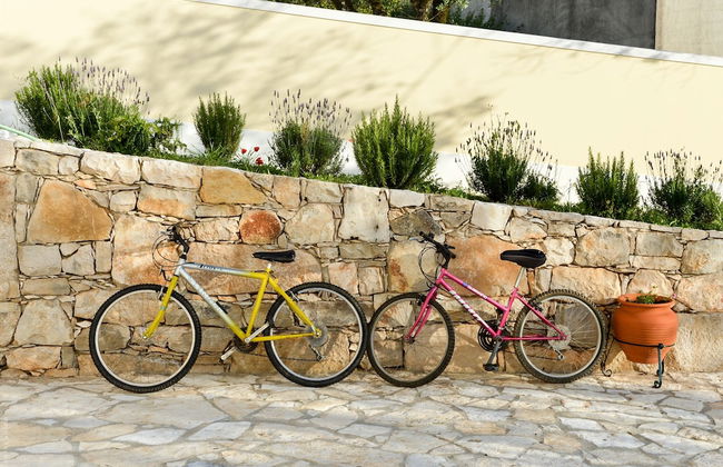 Retiro do Bosque Country House - Foto 22