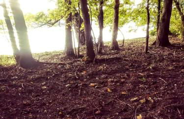 Cozy Wood Shed Tiny House Near Old Hickory Lake w/ Full Kitchen, Fire Pit & Breakfast - Foto 52