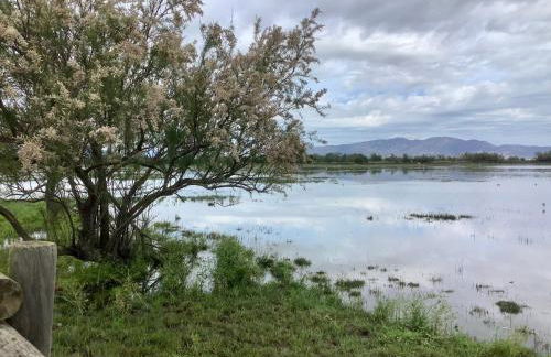 FONOLL MARÍ - ROSES FAR - Photo 17