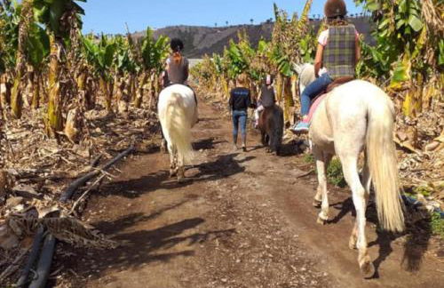 CASA TAYRI DE TAMAIDE TENERIFE SUR - Foto 47
