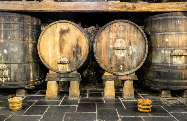 Visita a uma fábrica de sidra basca - Foto 2