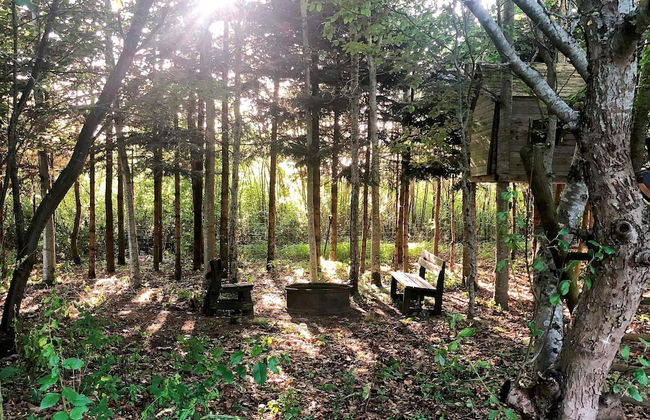 6 Person Holiday Home in Farvang - Foto 18