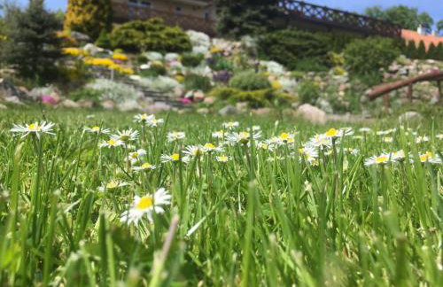 Agroturystyka "U Klaudii" - Foto 24