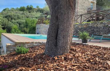 Casolare Cento Ulivi Luxury & Charme - Foto 45