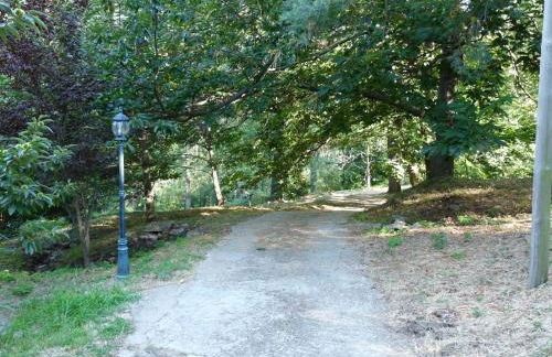 Los Prejones - Photo 28