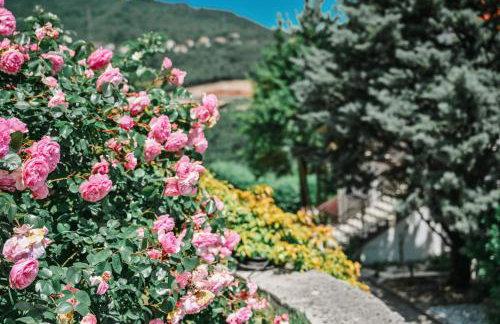 Petra Hills Majestic - Foto 20