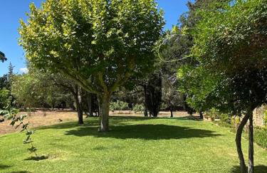 Villa provençale familiale avec piscine - Photo 20