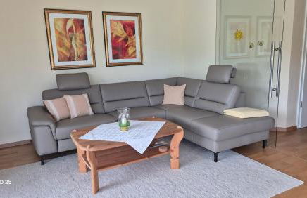 RHEIN-WALD Exklusives Apartment mit Rheinblick - Foto 3