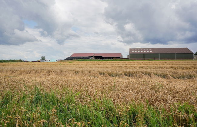 Bungalow in Landgraaf With Terrace - Foto 38