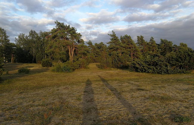 5 Person Holiday Home in Morbylanga-by Traum - Foto 13