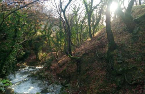 το Πέτρινο της Στέλλας - Foto 25