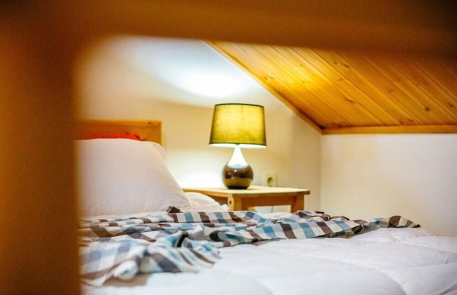 Dorothy's Forest Pension - Foto 47