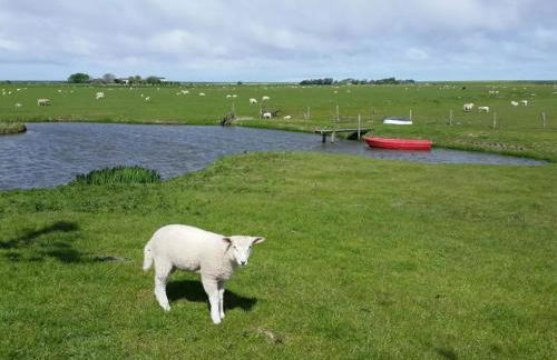 Schäferhof Dircks Fewo 4 - Foto 31