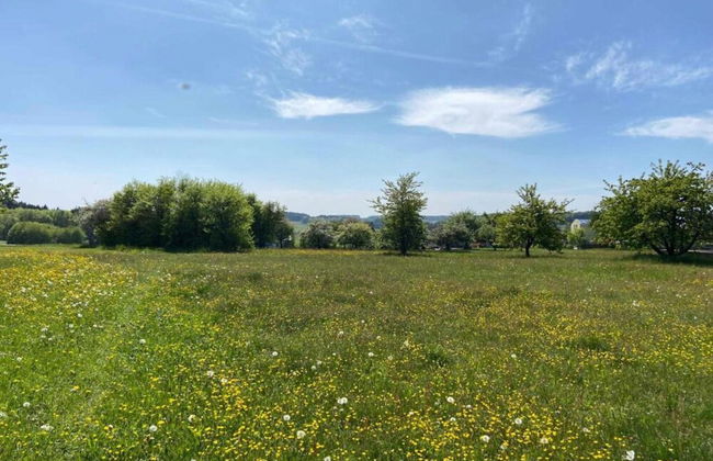 Cozy Apartment in Ruhmannsfelden With Swimming Pool - Photo 70