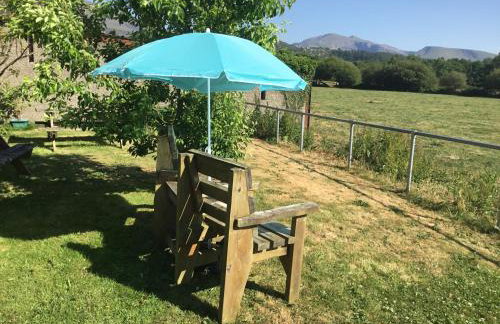 Tyddyn Perthi Farm - Foto 1