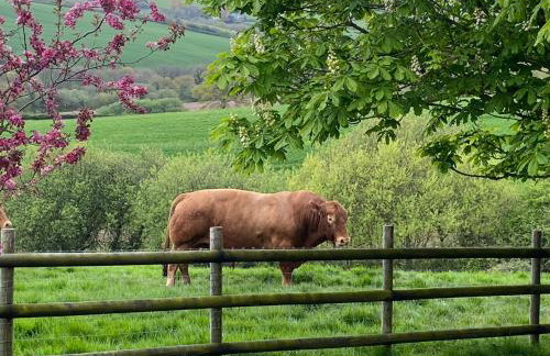 The Cottage - Foto 7