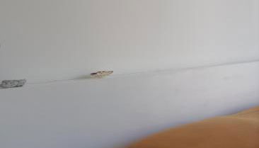 Casa Quieta - Foto 4