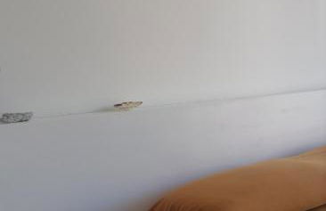 Casa Quieta - Foto 4