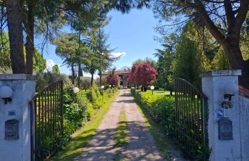 L'Olivo , in Tuscany - Photo 16