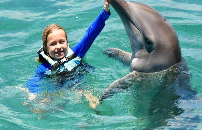 Delfin Royal Swim im Grand Sirenis Akumal-Tulum - Foto 4