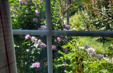 Kiek mol rin - Richmanns Appartements - Foto 12