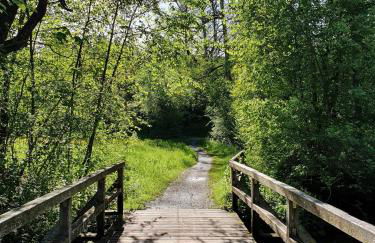 Ferienwohnung Stiefel mit Garage & AusZeit Card - Foto 34