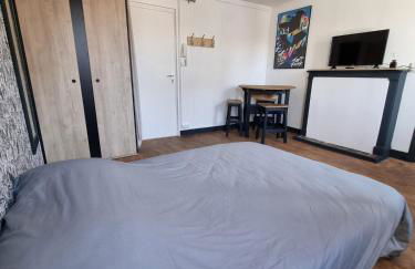 Studio en centre-ville - Foto 3