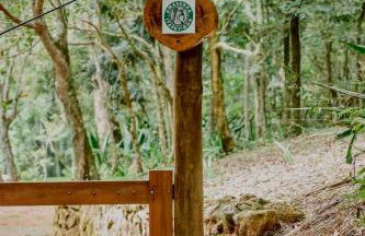 Reserva Atibaia / Casa de Montanha - Photo 10