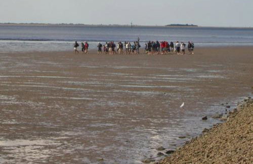 Haus-Halligblick-Ferienwohnungen-am-Meer - Foto 17