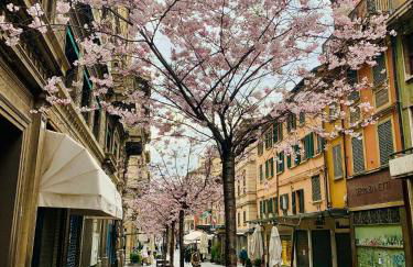 Palazzo dei Notai - Photo 29