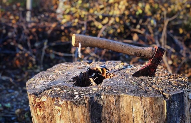 Vildmarks Lodge - Photo 48