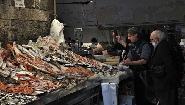 Explore the fish market