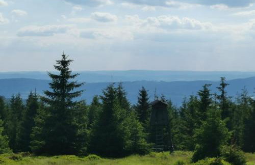 Jaworowy Stok z widokiem na góry i ogrodem - Foto 56