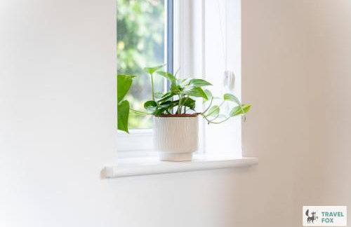 Lime Corner - Photo 13