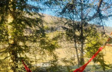 Dharma Farm Retreat - Foto 24