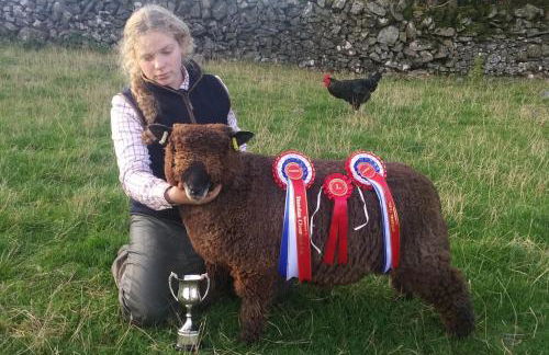 Boreland Farm - Photo 18